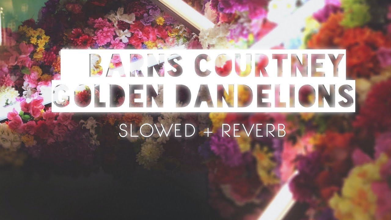 Barns Courtney - Golden Dandelions [Slowed & Reverb]