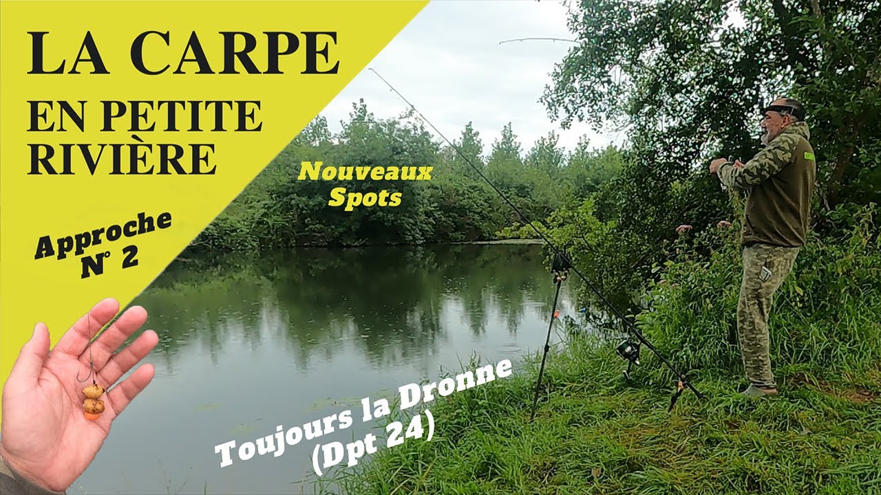 La carpe en petite rivière - Vol. 2