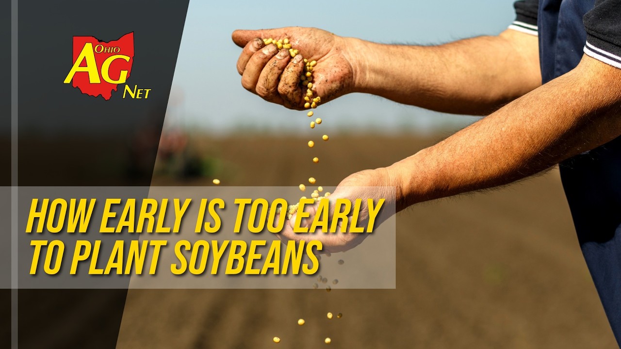 Насколько рано можно сажать сою?