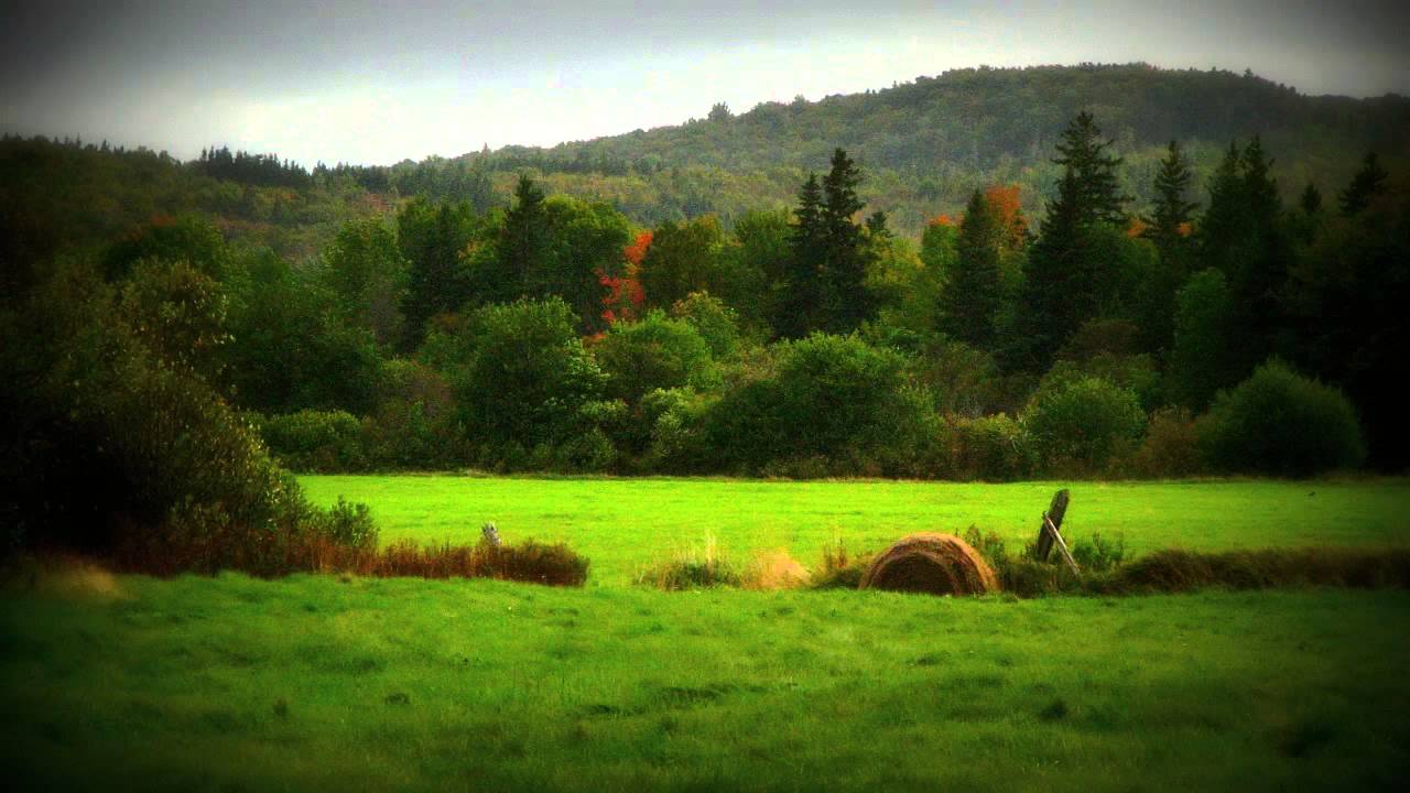The Vale of Margaree