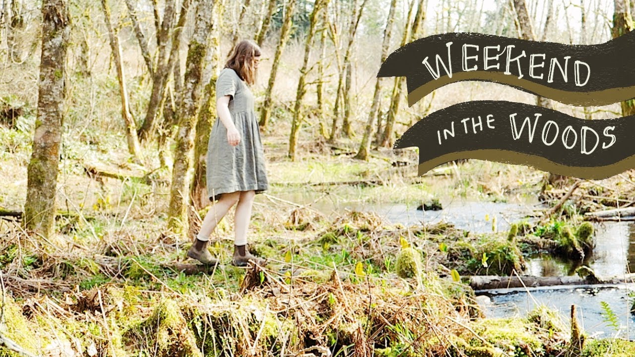 A Magical Weekend in the Woods - cozy cabin, beautiful scenery, peaceful music & nature sounds