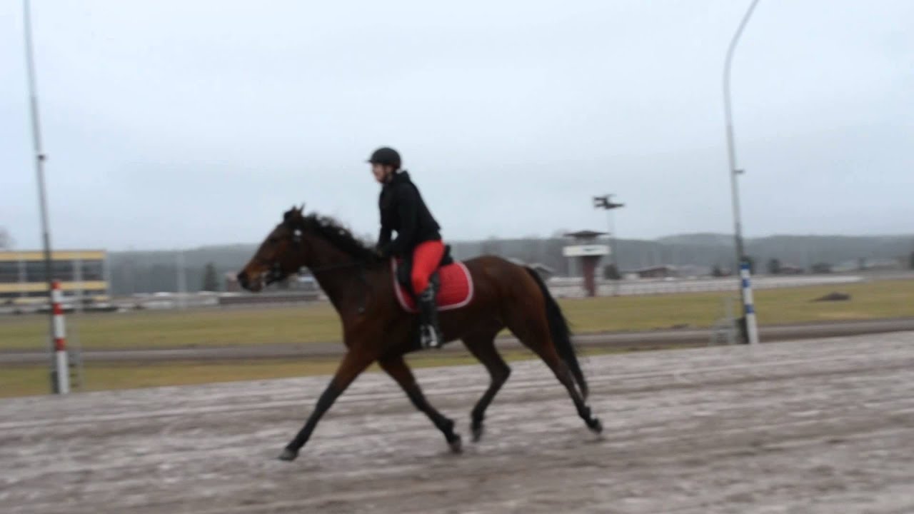 Jessica Borg & Lookh Pennylane - F&ouml;rsta ridtr&auml;ningen p&aring; banan