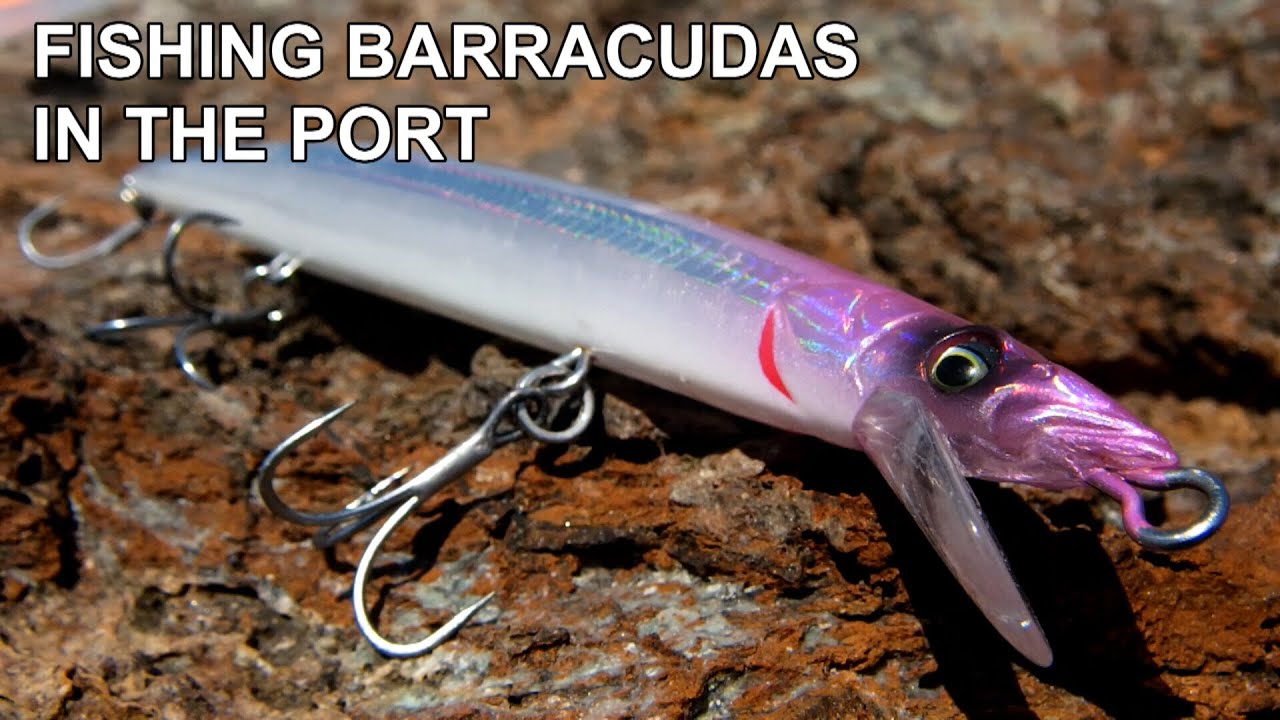 Барракуда в порту с Savage Gear Jerk Minnow 175!
