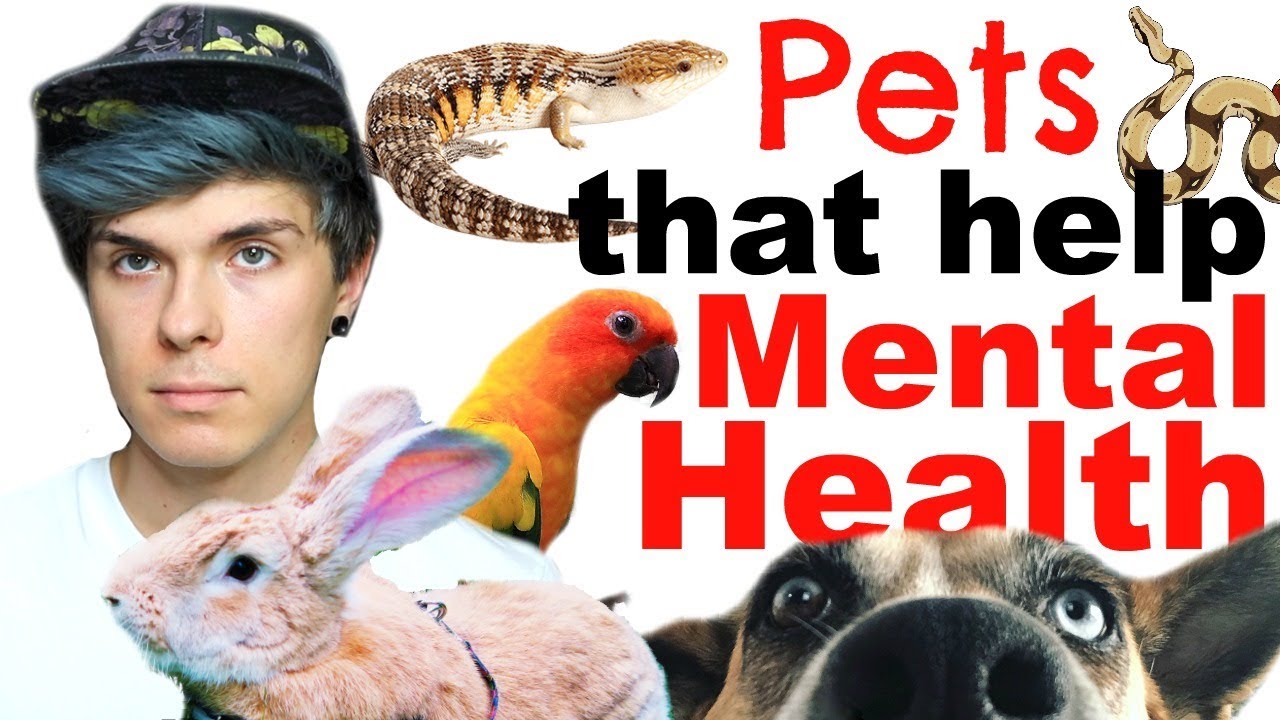 Pets That Can Help with Mental Health!