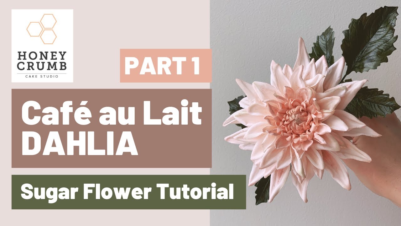 PART 1: Sugar Dahlia Tutorial: How to Make a Café Au Lait Dahlia out of Gumpaste