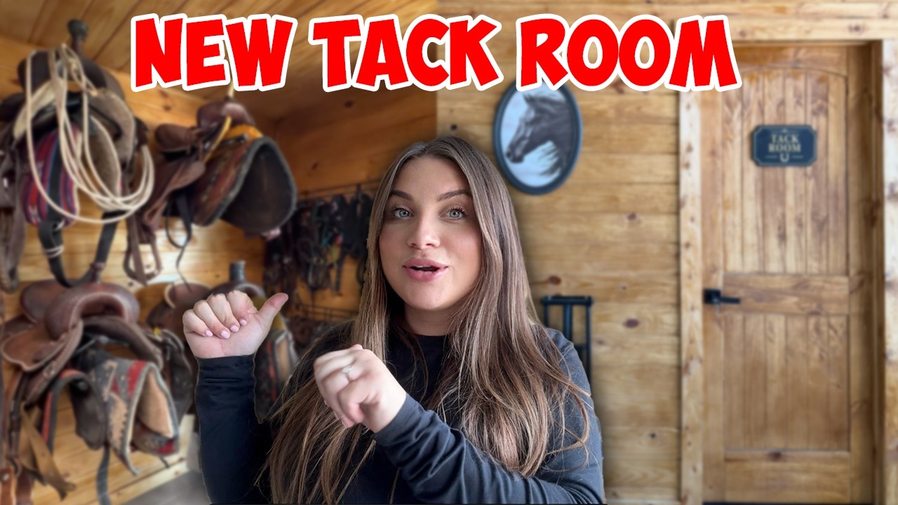 New Tack Room Transformation! | Building My NEW DREAM HORSE BARN PART 9!