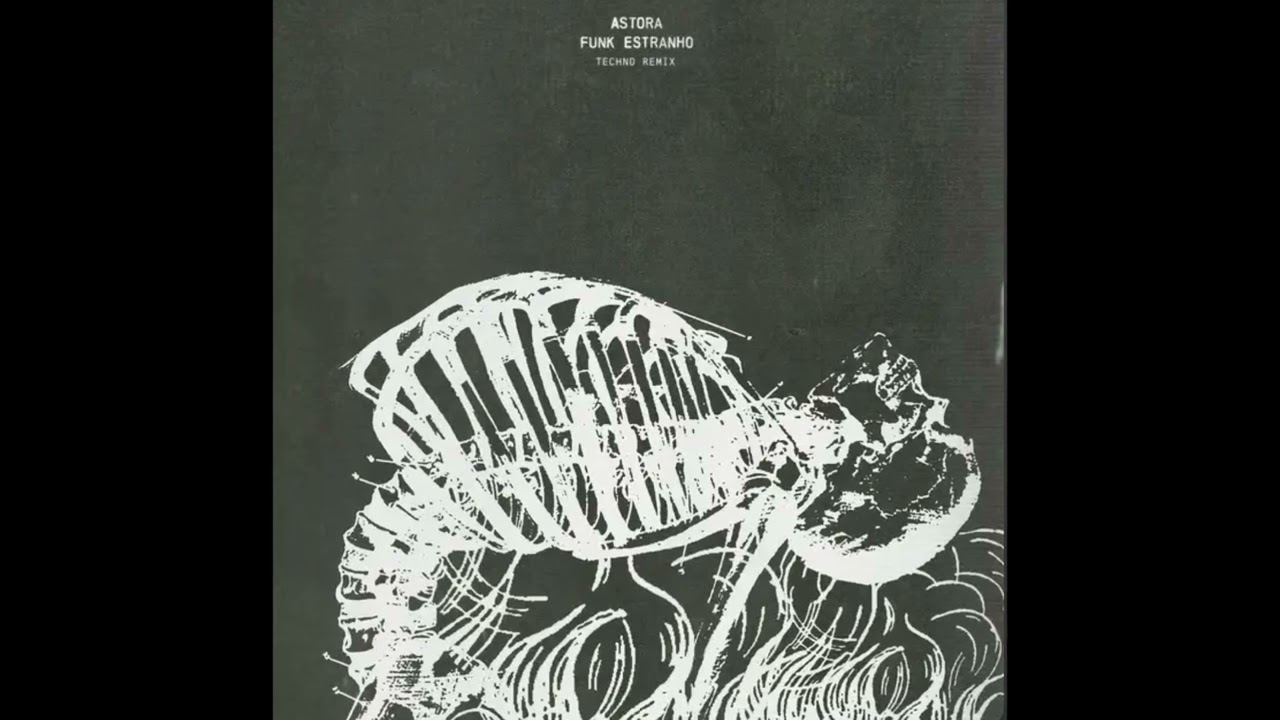 Astroa-FUNK ESTRANHO TECHNO remix