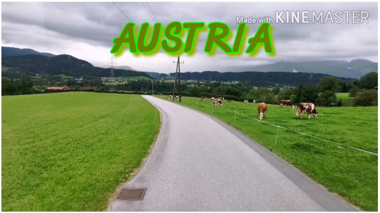 Circulando por Austria. CUANTO VERDE!!!! #14