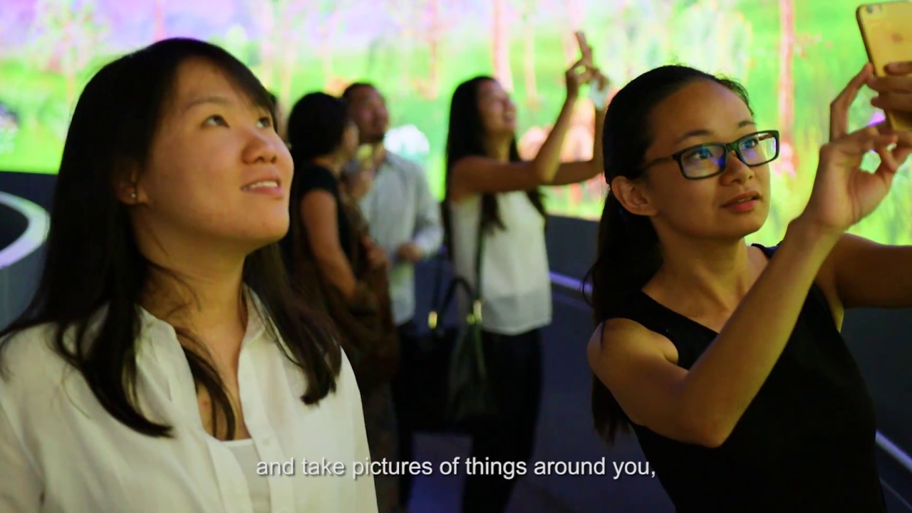 Panasonic Projector: Case study | Story of the Forest at National Museum of Singapore
