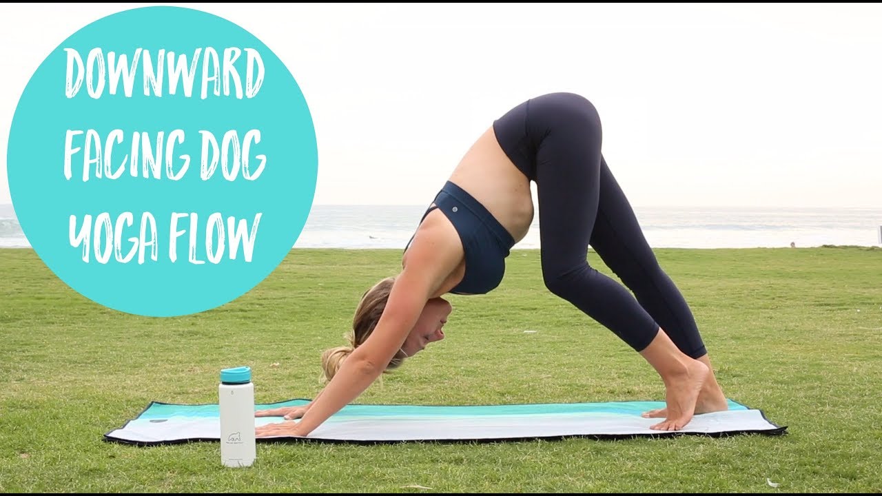 Downward Dog Yoga Flow