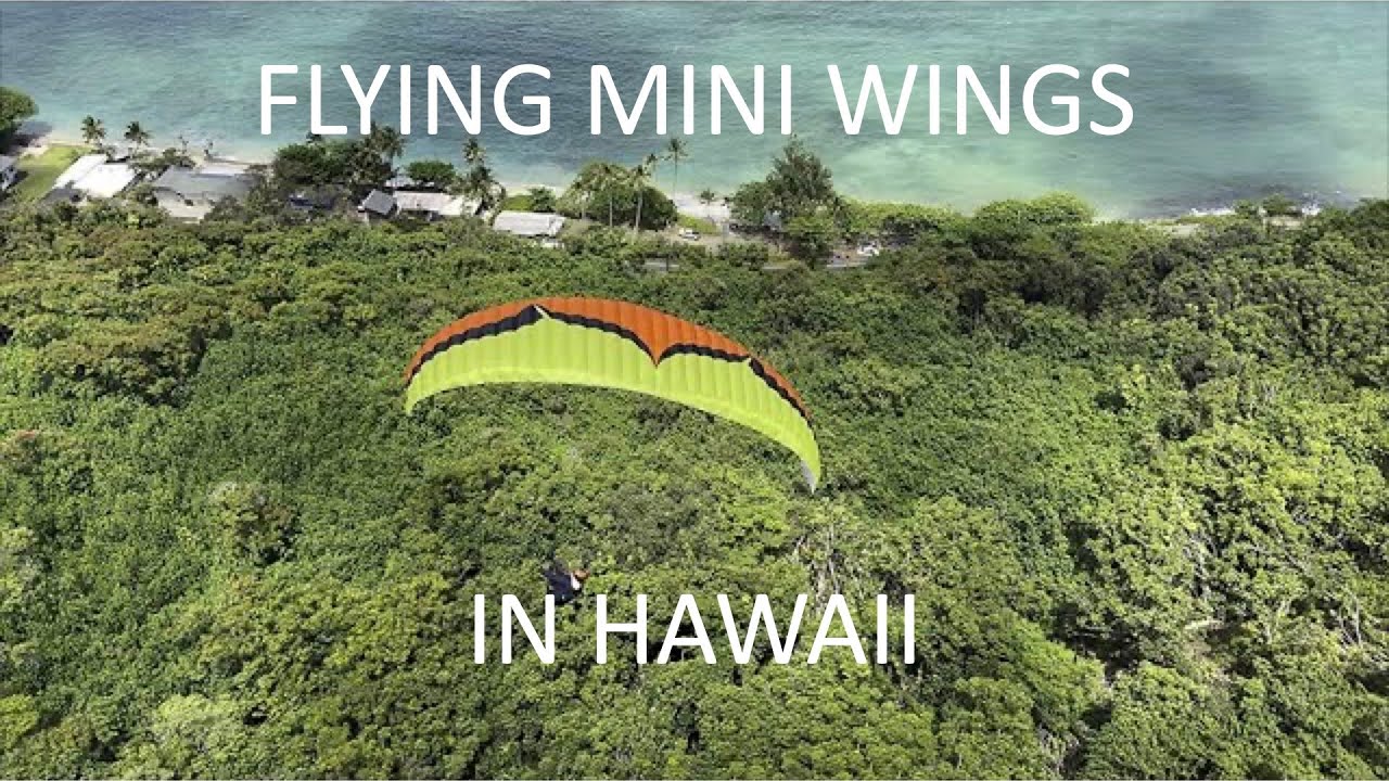 THIS IS WHY WE FLY