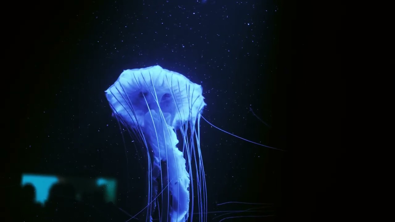 Flotter dans l'espace