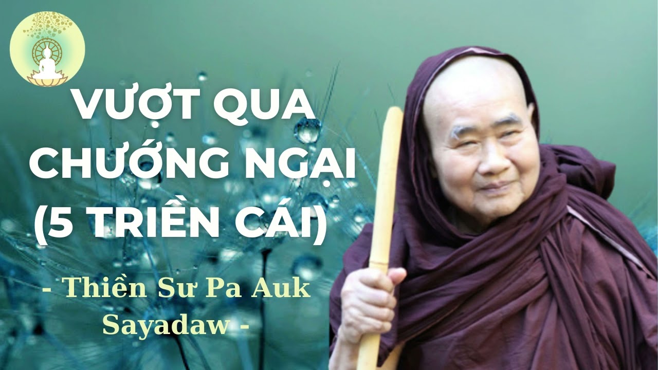 Vượt Qua 5 Triền Cái đạt Thiền Định Samadhi - TS Pa Auk Sayadaw