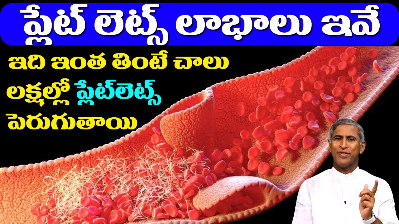 Platelets | ప్లేట్ లెట్స్ లాభాలు ఇవే ఇది ఇంత తింటే చాలు లక్షల్లో⬆️ | Dr Manthena Satyanarayana Raju