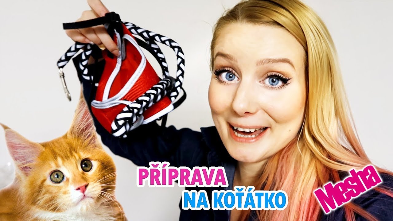 JAK SE PŘIPRAVUJEME NA MAZLÍČKA ● ZABEZPEČENÍ, HRAČKY, BYT TOUR 🐈