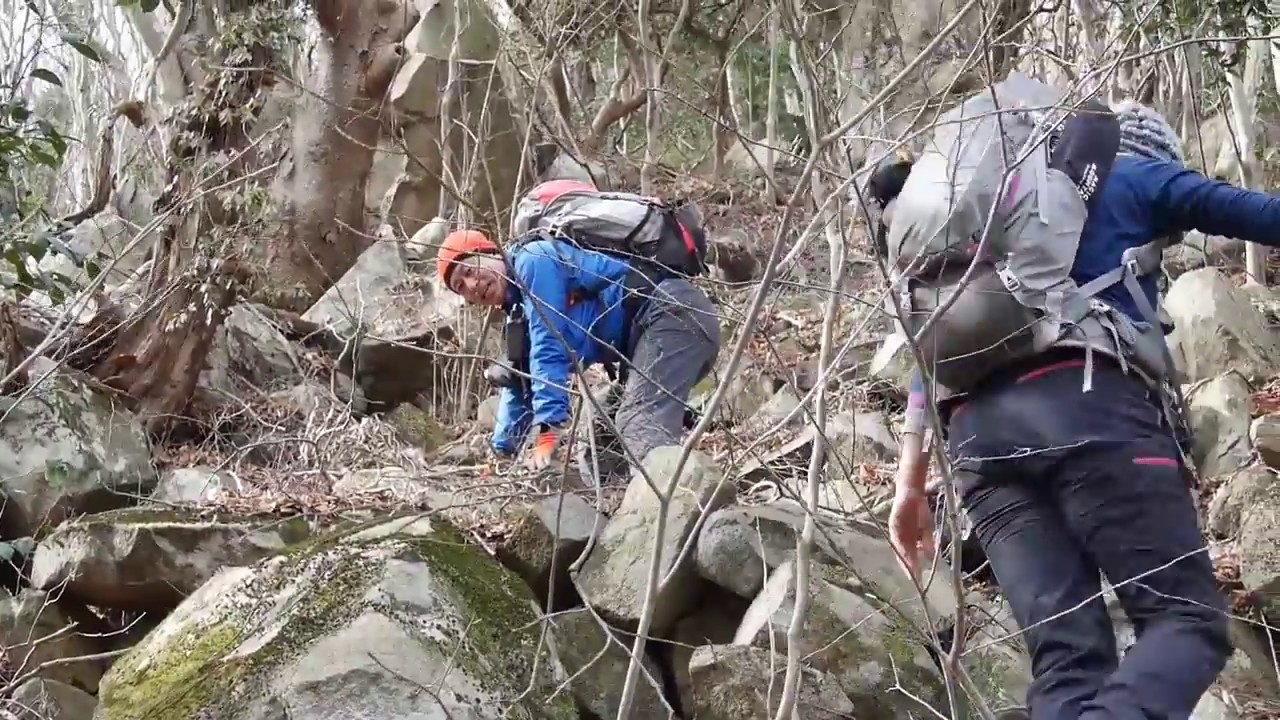 藪漕ぎ登山（湯の岳）