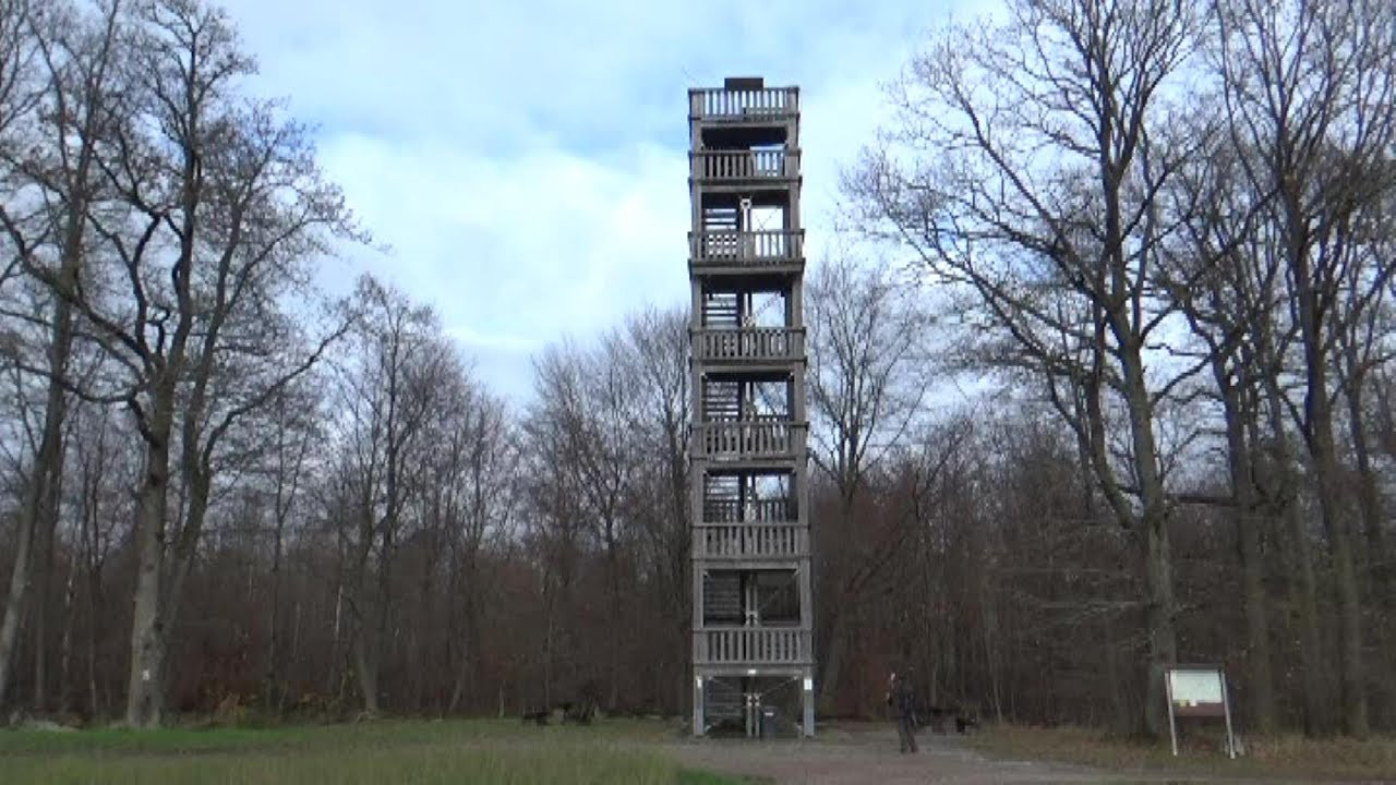 Tagestour zur Ruine Speckfeld und Aussichts Platform Steigerwald