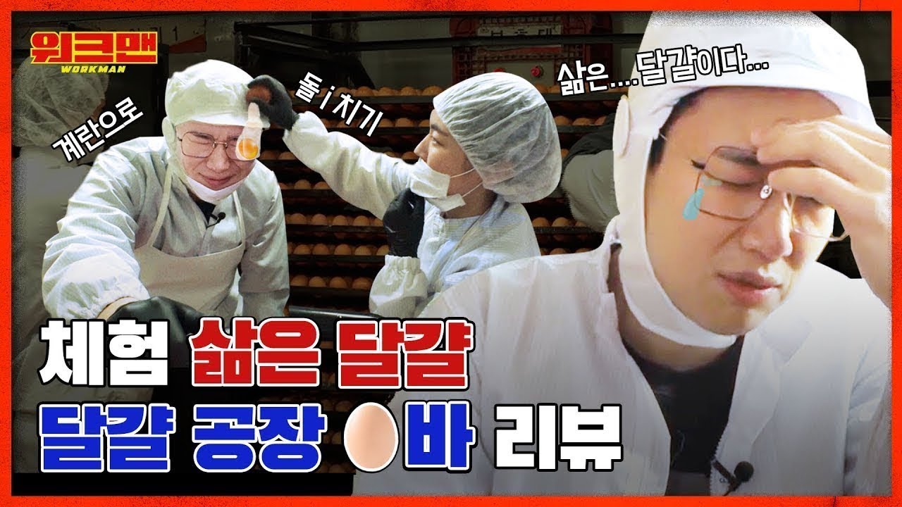 [ENG] ※한'계란' 없는 위생관리※ 전국 각지 🥚들 총집합★ 방귀냄새도 훈제란 내 난다는 달걀 공장 알바 리뷰ㅣ워크맨 ep.41