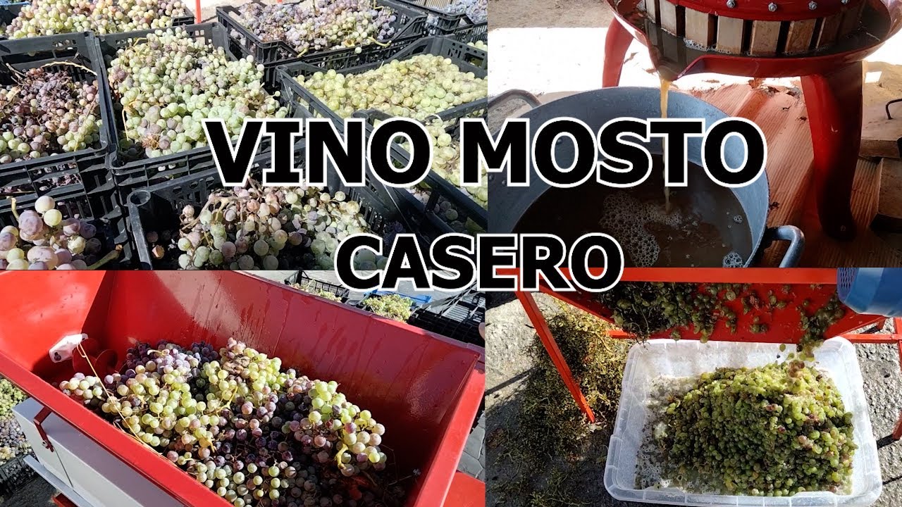 Hacer VINO  MOSTO CASERO Como un EXPERTO en Casa