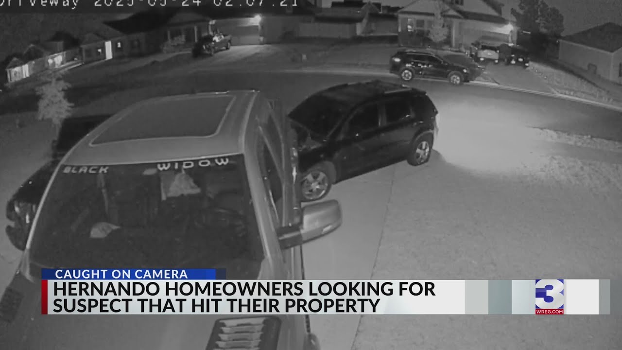 Hernando homeowners looking for suspect that hit their property
