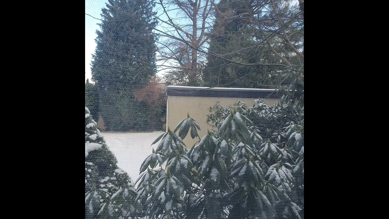 12 🇩🇪 Bà Lao công " tám" với quí vị trong khung cảnh trời tuyết ❄️☃️❄️