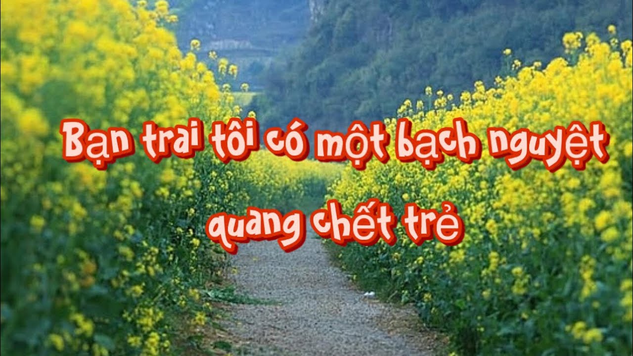 [Audio] BẠN TRAI TÔI CÓ MỘT BẠCH NGUYỆT  QUANG CHẾT TRẺ FULL l zhihu I Mùa hè bất tận