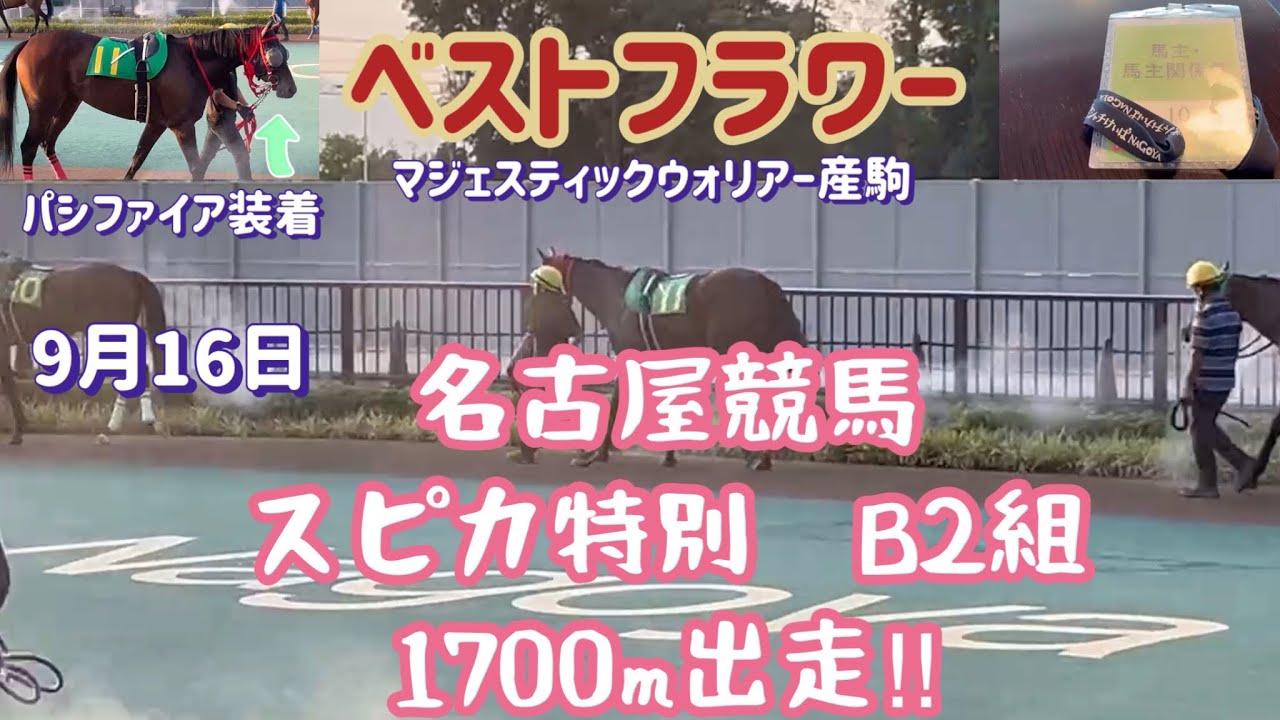 [競馬・馬主]名古屋競馬　ベストフラワー　9\16スピカ特別出走　距離延長⁉︎1700m⁉︎