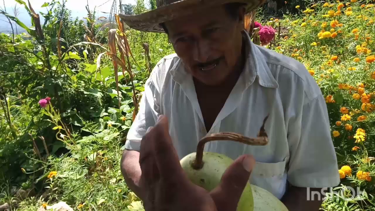 🥝mejores estaciones lunar para sembrar, calabazas peregrinas y mas🌱
