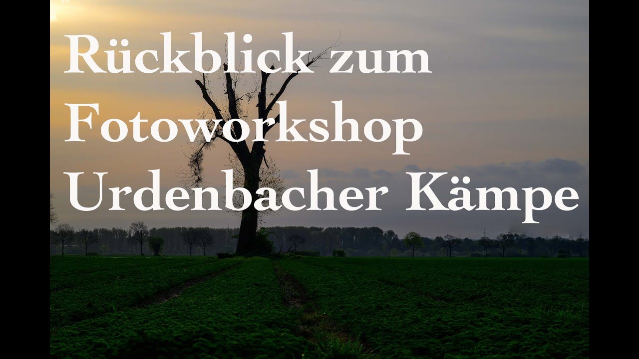 Fotoworkshop Urdenbacher K&auml;mpe (Bericht zum vergangenen Workshop)