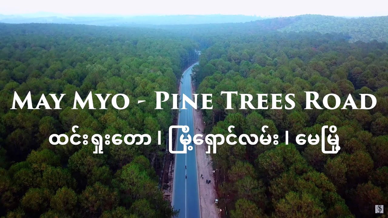 Visiting To Pine Trees Road May Myo, Pyin Oo Lwin | Mandalay Myanmar  ( Burma )
