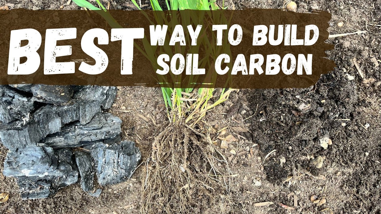 The BEST Way To Build Soil Carbon | Soil Organic Carbon Course