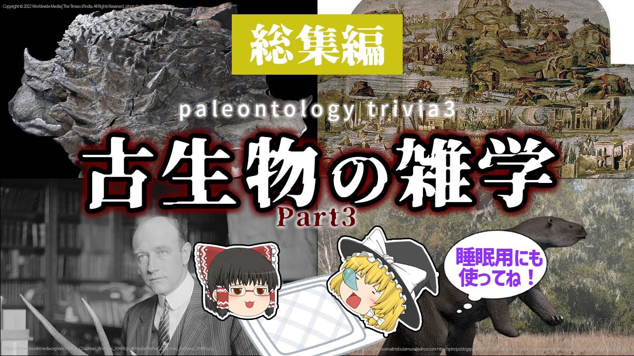 【睡眠用・ゆっくり解説】古代の雑学３　恐竜のミイラ/交尾/不可能な進化など【広告最初のみ　途中広告なし】