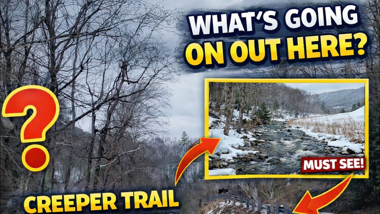 Creeper Trail Progression? What’s Really Happening Out Here…