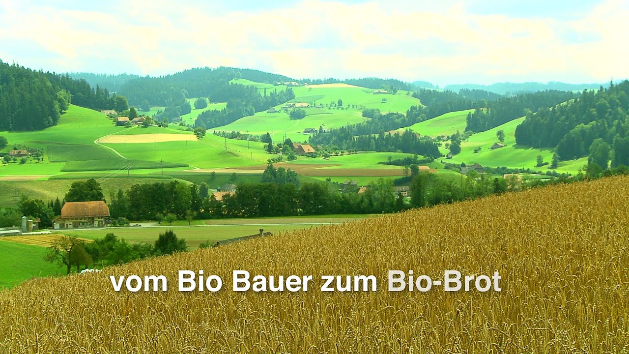 Steiner BioM&uuml;hle