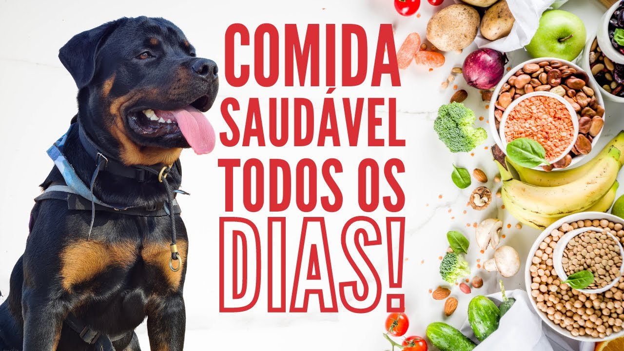 Como fazer Comida Natural para Cachorro