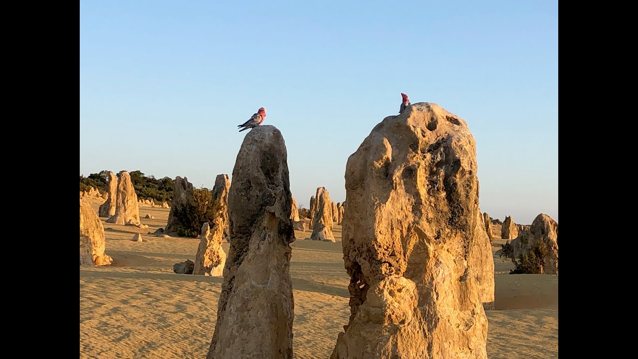 Pinnacles Desert, Western Australia