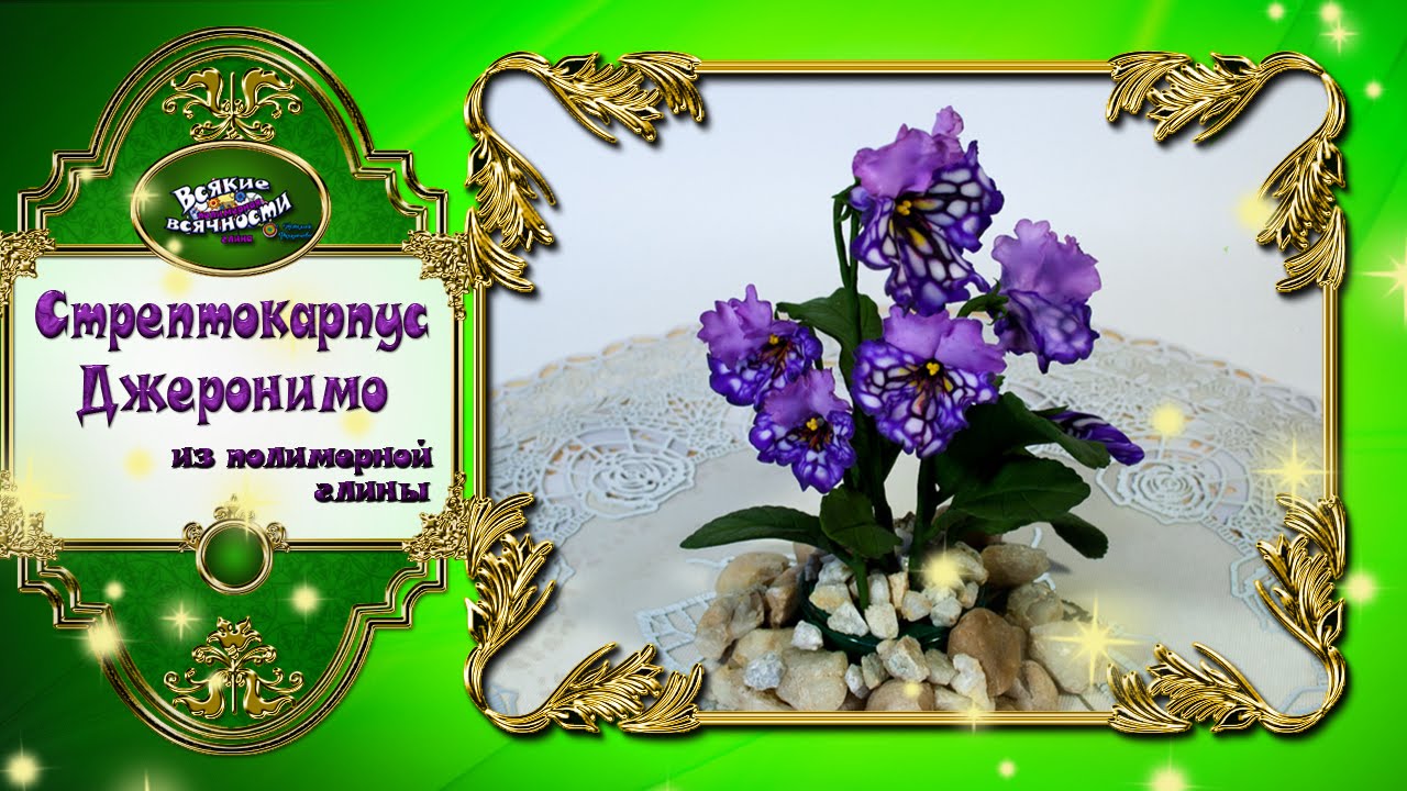 Стрептокарпус Джеронимо из полимерной глины