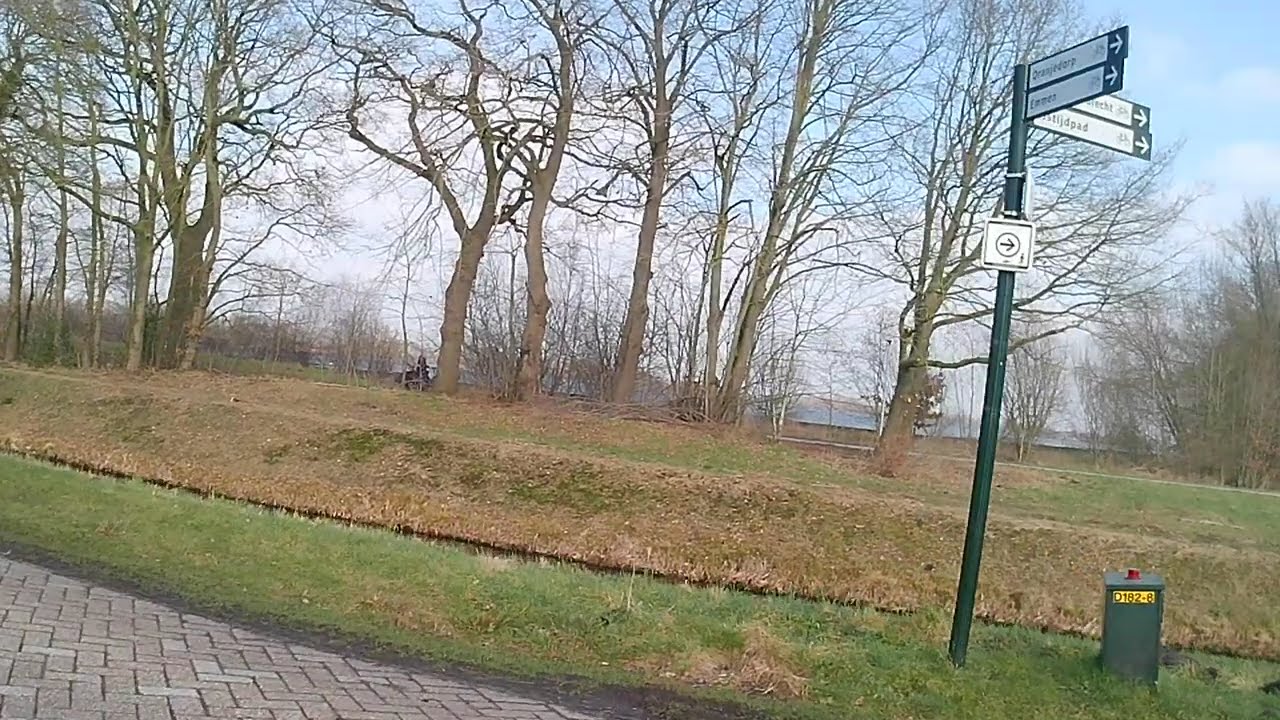 20250212 005748