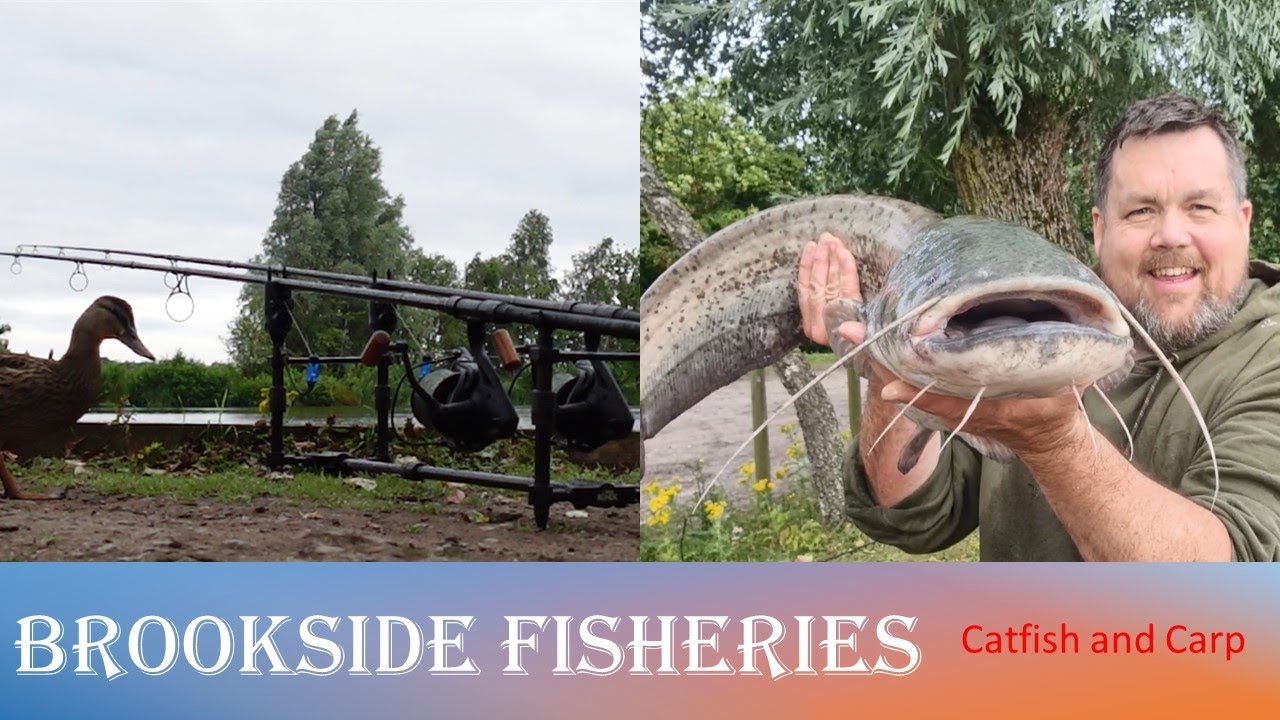 Brookside Fisheries Carp and Catfish