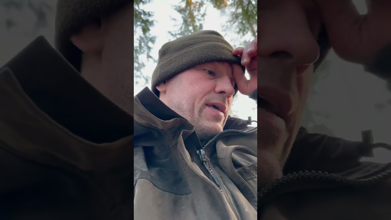 Выходной в лесу.