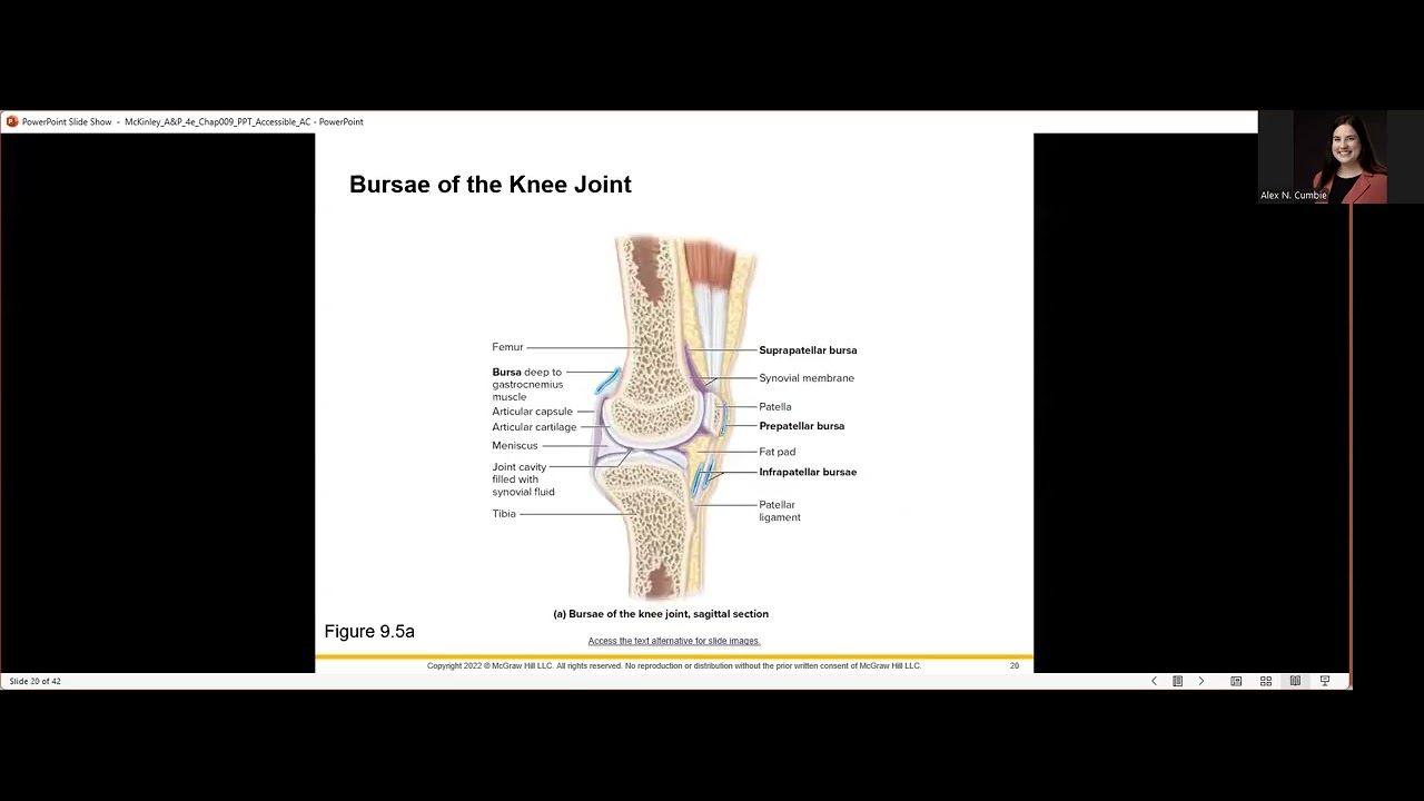 BIOL240- Chapter 9: Joints