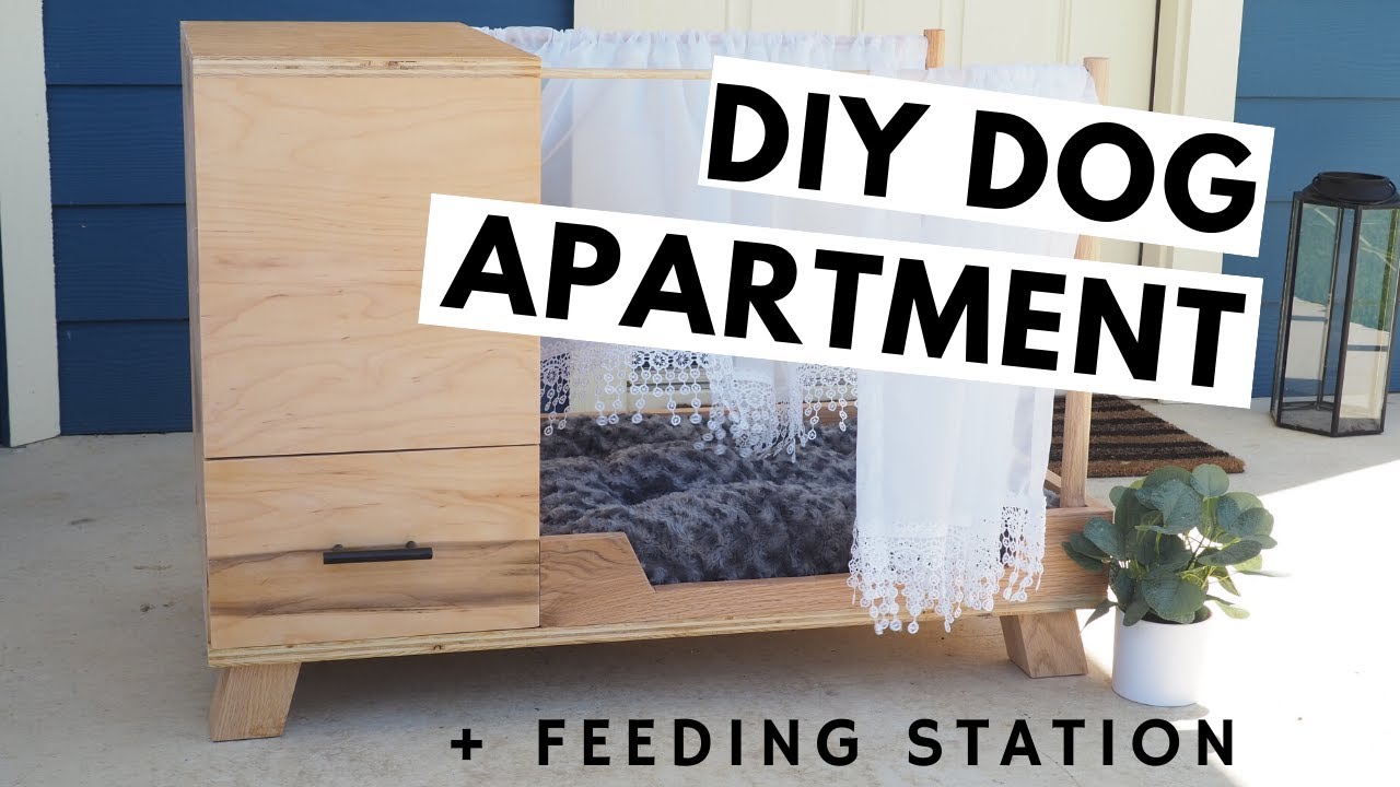 DIY MODERN DOG BED + bonus feeding station & storage