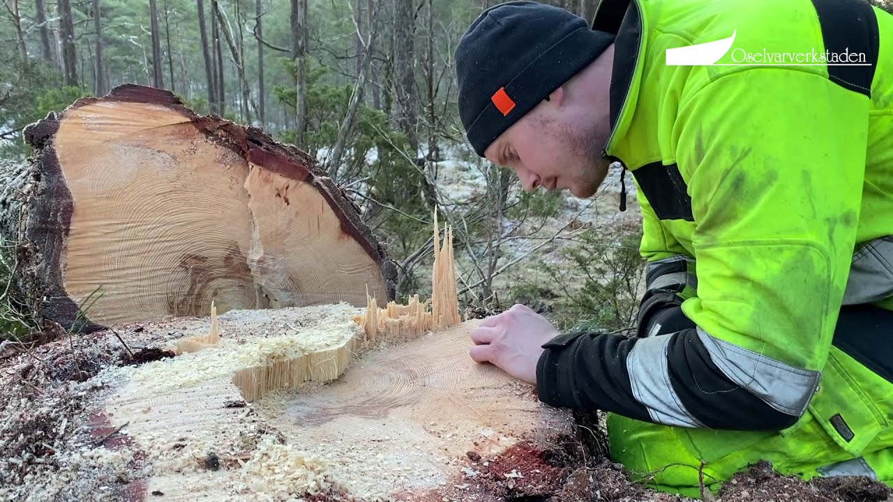 Skogsarbeid januar 2021