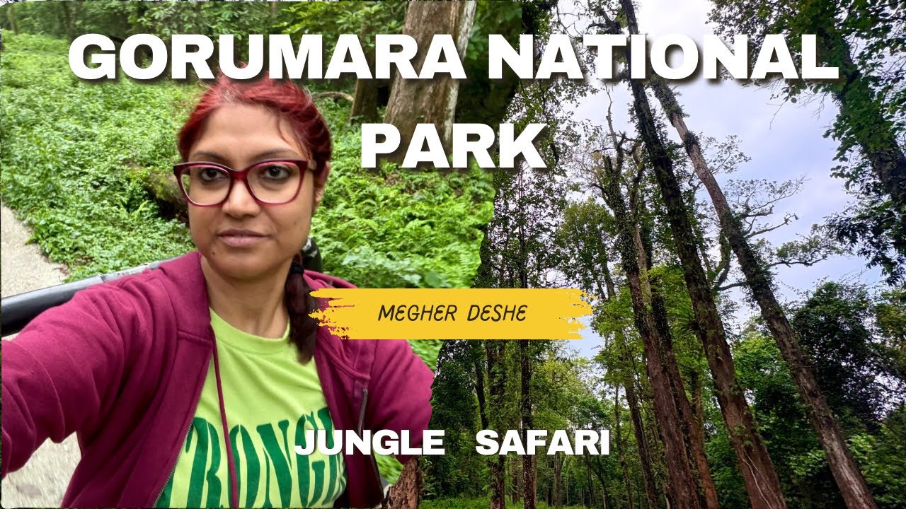 JUNGLE SAFARI AT GORUMARA NATIONAL PARK #megherdeshe_megh #videos #viralvideos #northbengal #dooars 