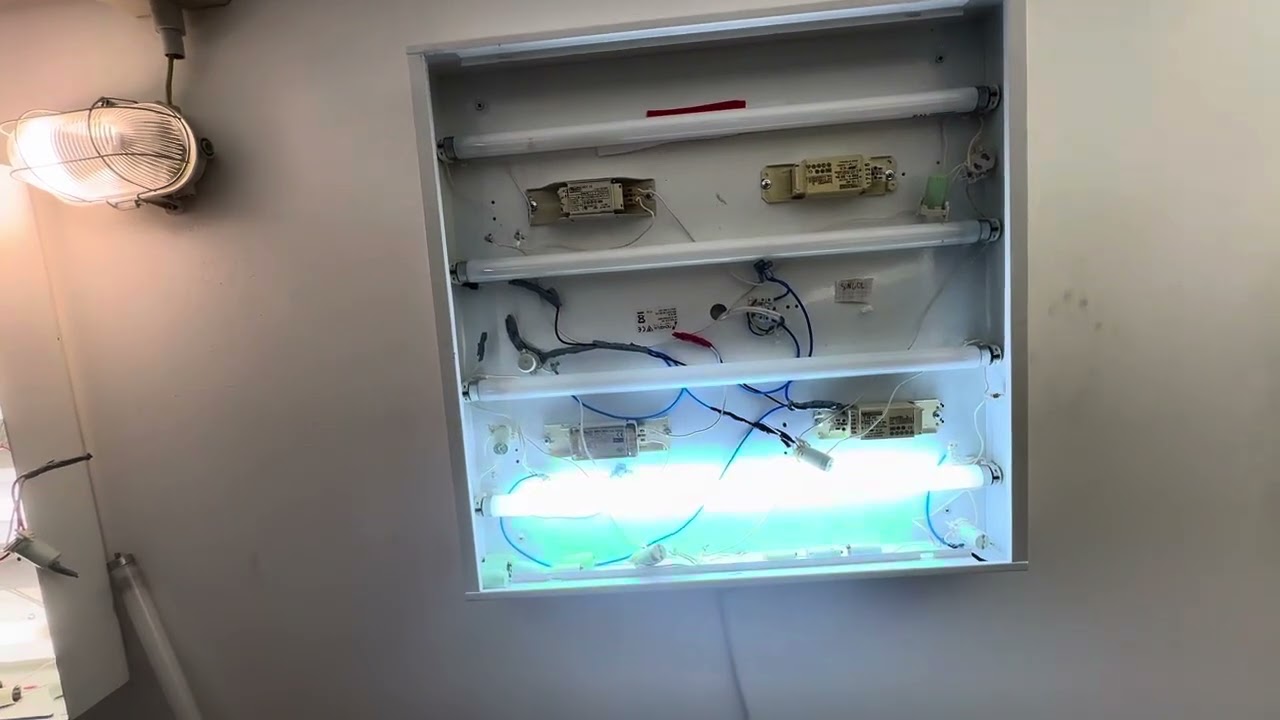 2 eol tube + 1 dead + replacement to 2 tube’s is now + ordine tubi ho il mini negozio finto ok