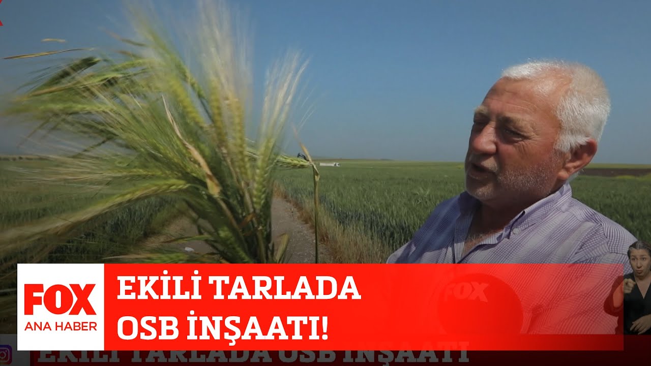 Ekili tarlada OSB inşaatı! 31 Mayıs 2022 Selçuk Tepeli ile FOX Ana Haber