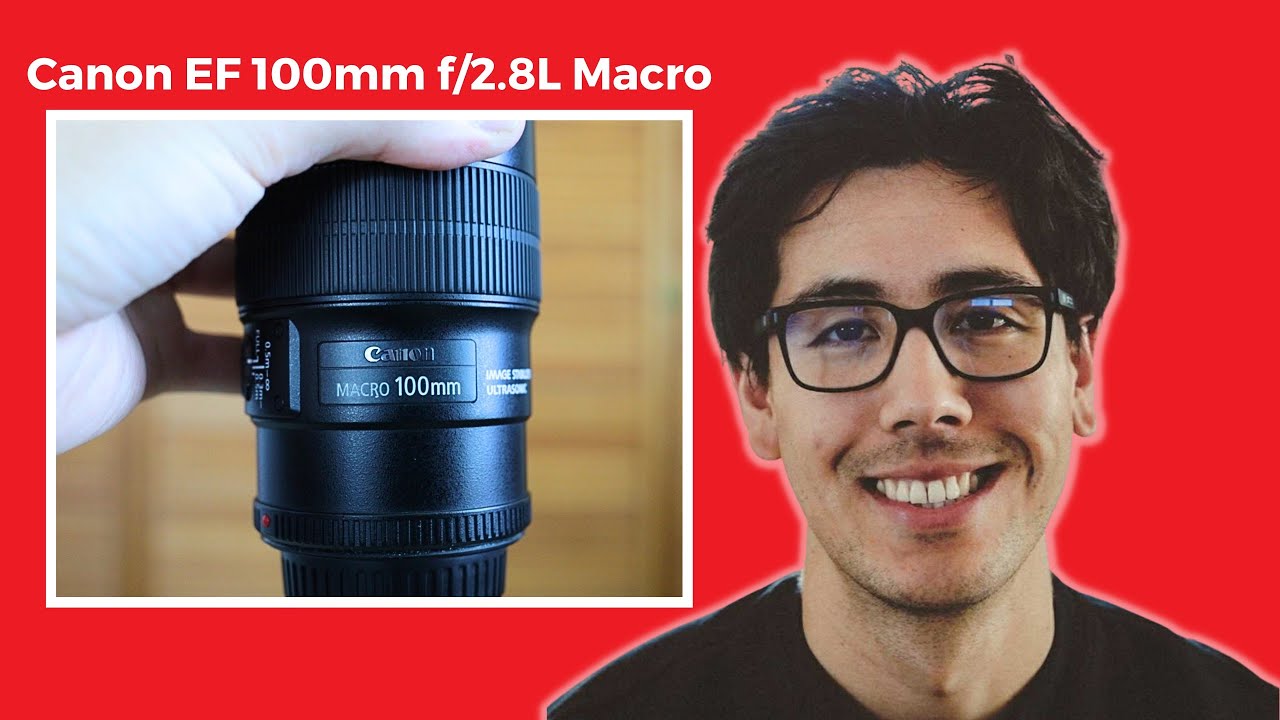 Обзор макрообъектива Canon EF 100mm f/2.8L IS — король макросъемки?