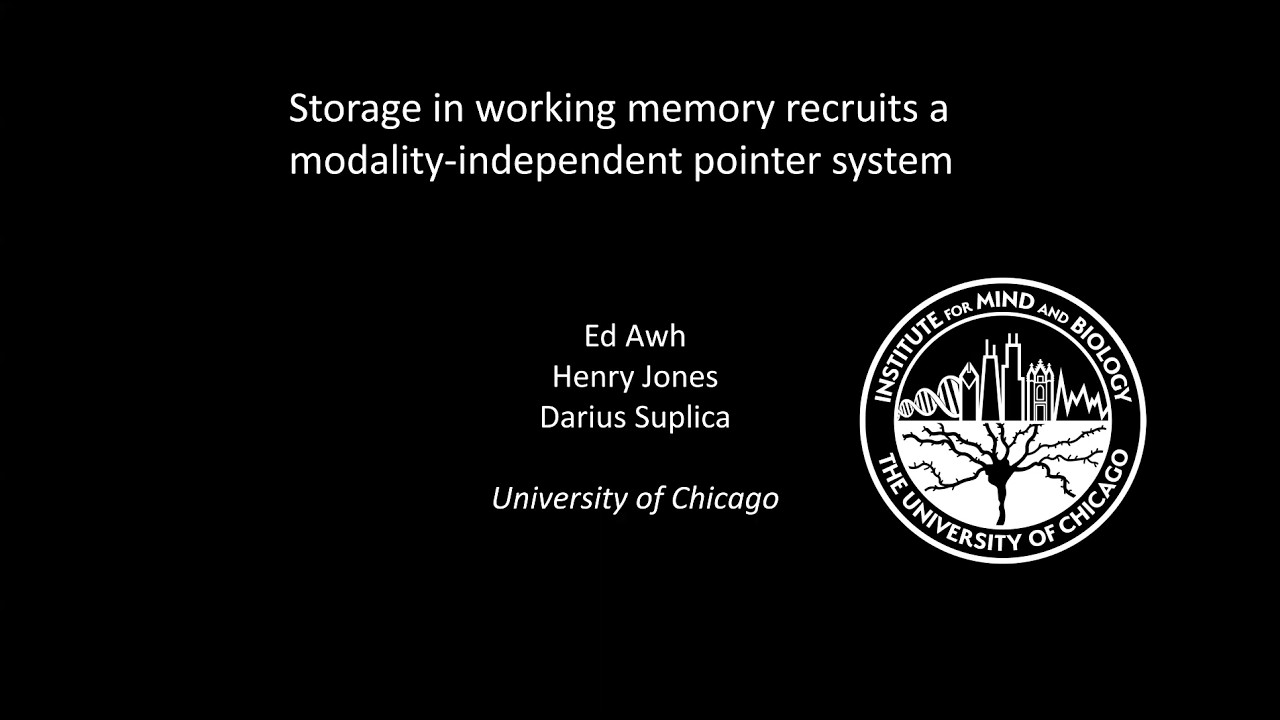 Cog Neuro Hub Special February Seminar: Professor Edward Awh
