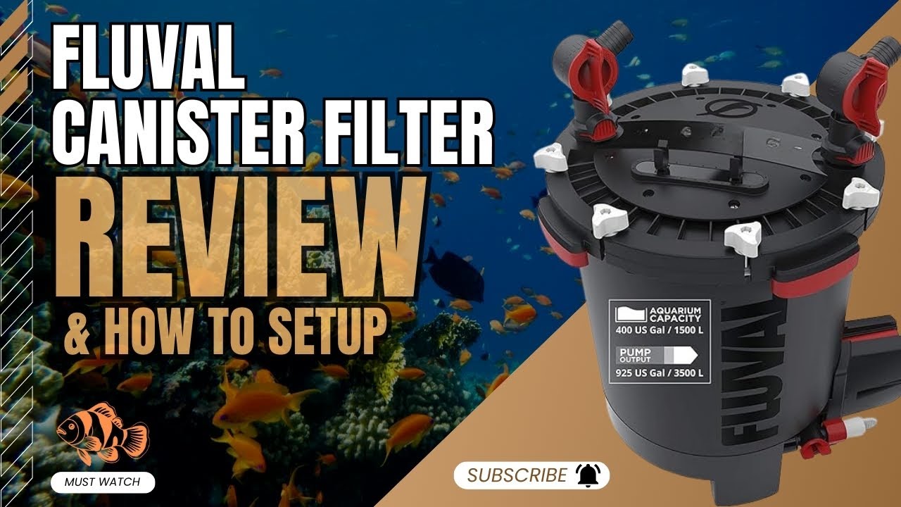 Fluval Canister Filter | Best Canister Filter for Aquariums | FX4 & FX6 Guide & How to Setup