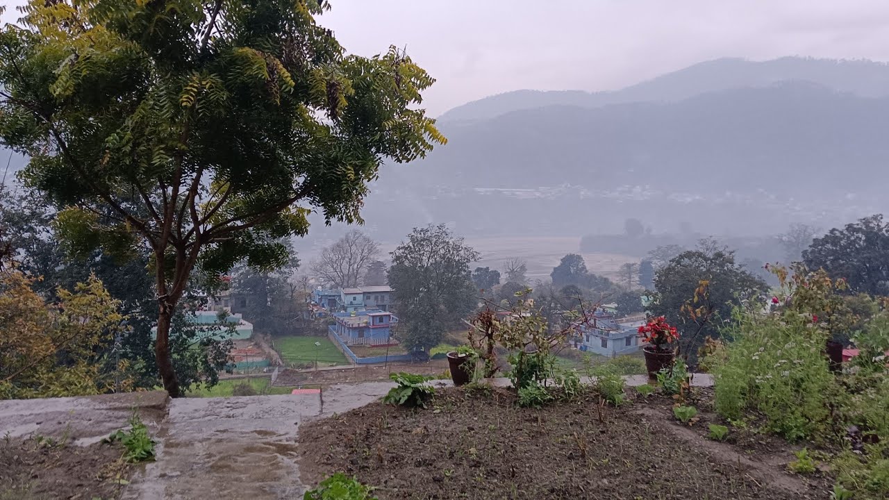 बसंत पंचमी की हार्दिक शुभकामनाएं ♥️|| बहुत महीनों बाद बारिश के दर्शन 🌧️#uttakhandi #pahadi 